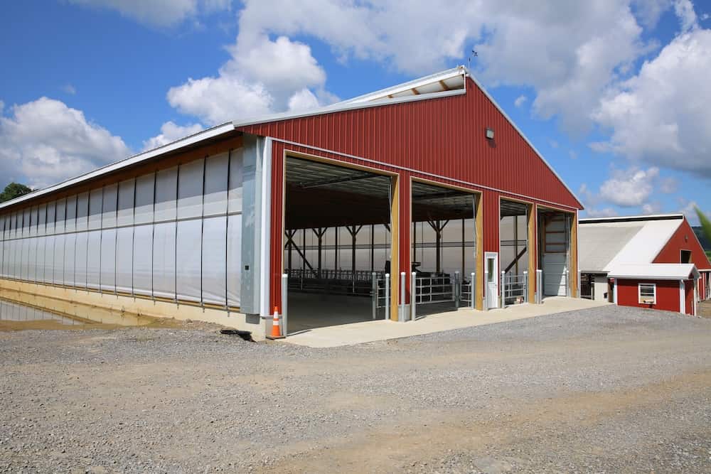 2025-10-dairy-00012