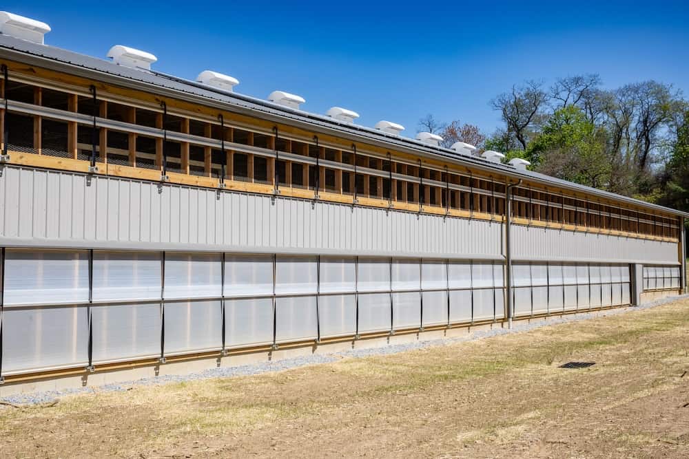 2025-10-poultry-00001