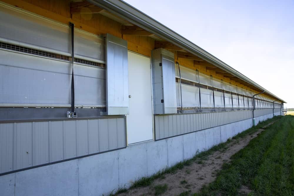 2025-10-poultry-00003