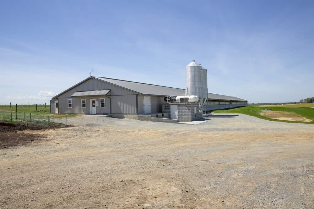 2025-10-poultry-00006